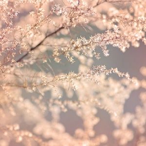 Meet your Posher, Kamila